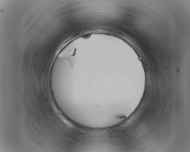 X0000062870858200602101650