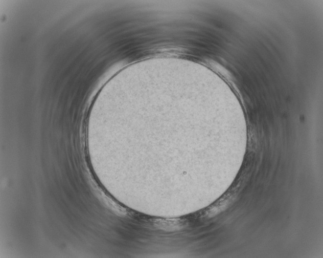 X0000062870859200602101650