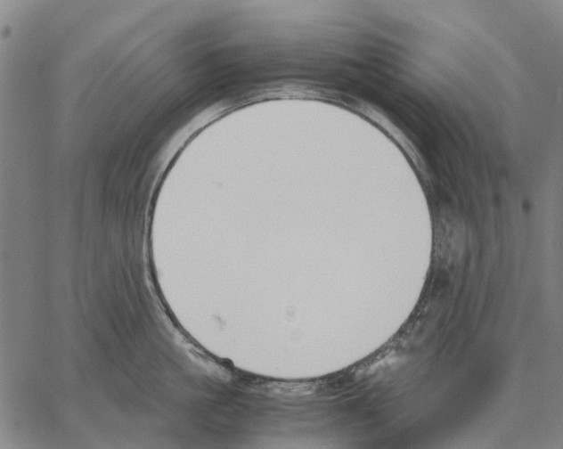 X0000062870861200602101650