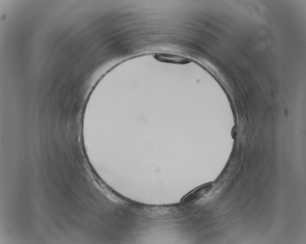 X0000062870862200602101650