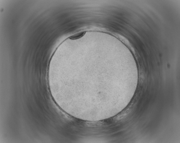 X0000062870863200602101650