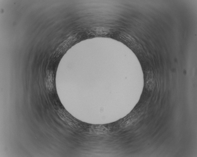 X0000062870866200602101649