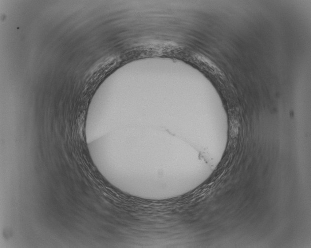 X0000062870869200602101649