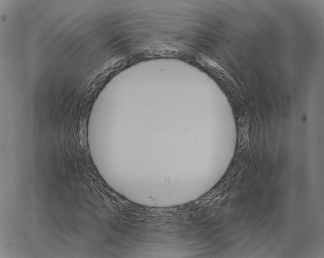 X0000062870870200602101649