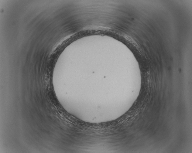 X0000062870872200602101649