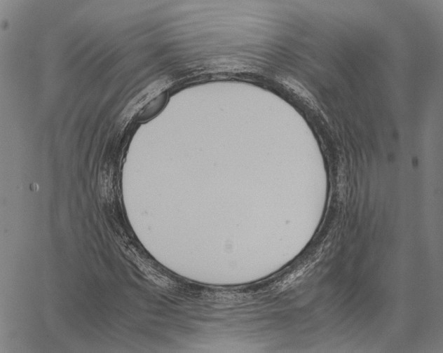 X0000062870873200602101649