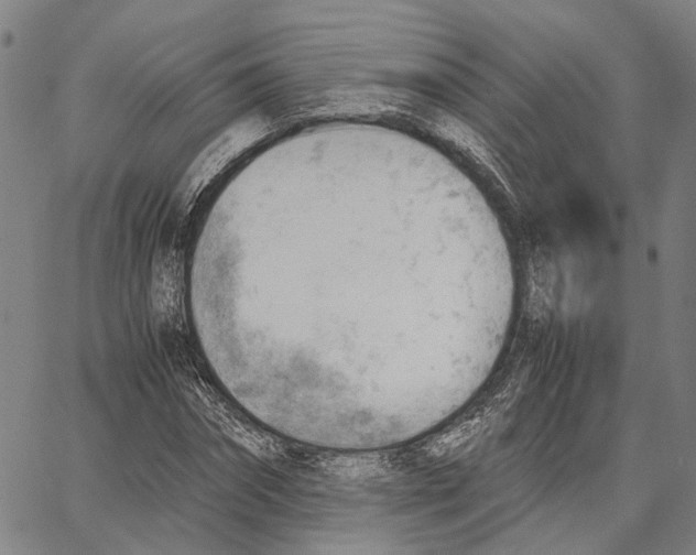 X0000062870874200602101649