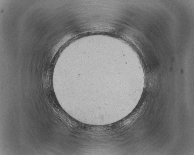 X0000062870875200602101649