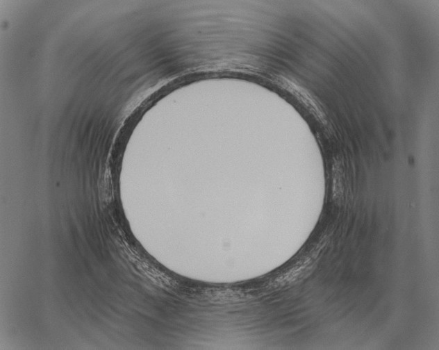 X0000062870876200602101649