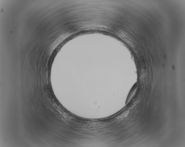 X0000062870877200602101649