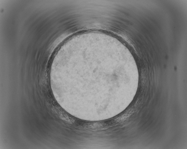 X0000062870879200602101649