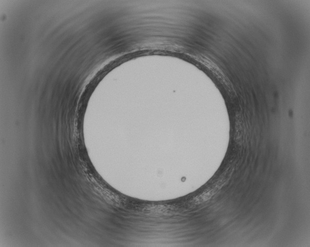 X0000062870880200602101649