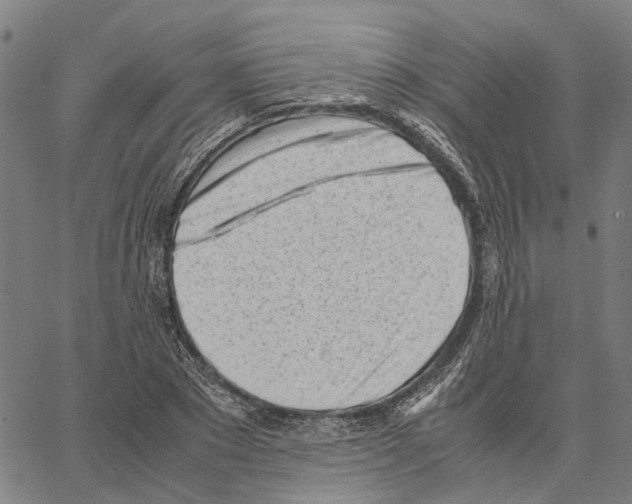 X0000062870881200602101649