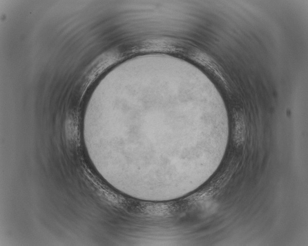 X0000062870882200602101649