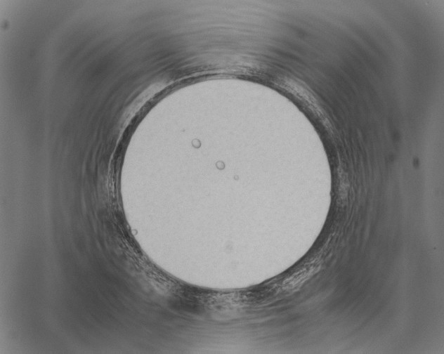 X0000062870883200602101649