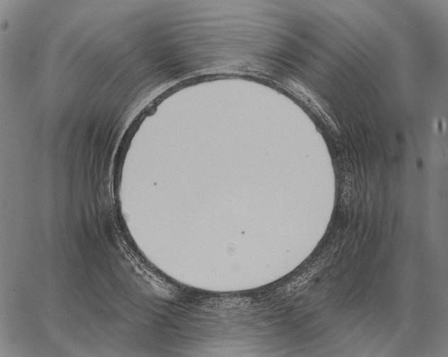 X0000062870884200602101649