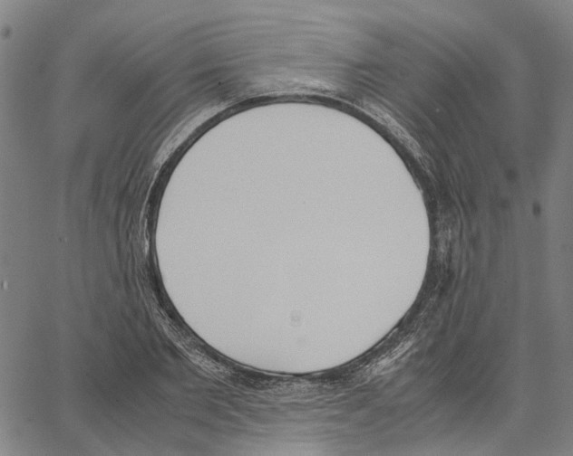 X0000062870885200602101649