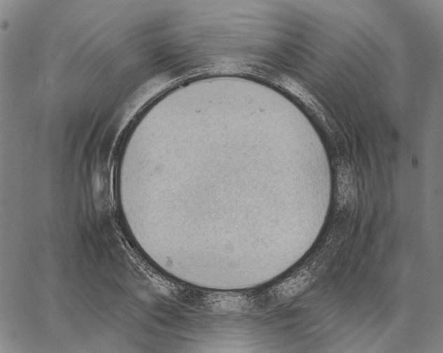 X0000062870886200602101649