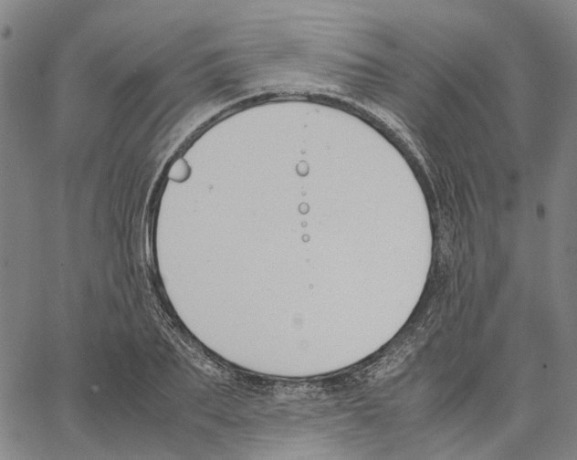 X0000062870887200602101649