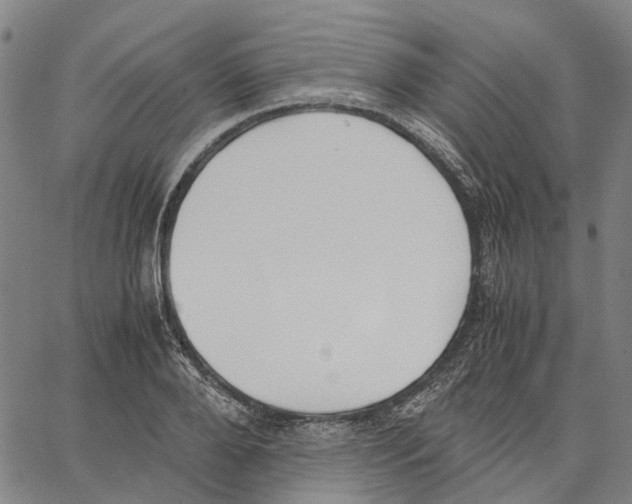 X0000062870888200602101649