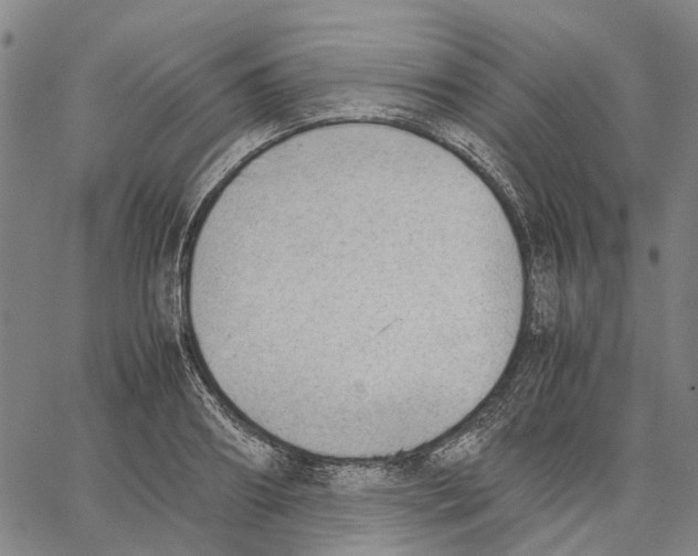 X0000062870890200602101649