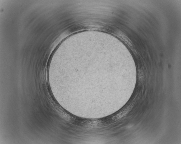 X0000062870891200602101649