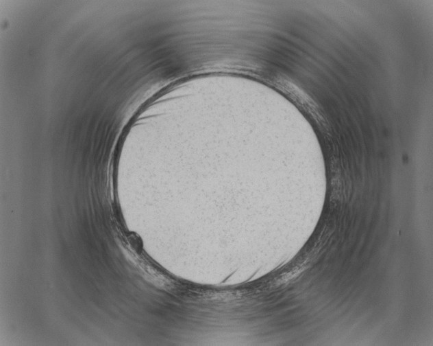 X0000062870892200602101649