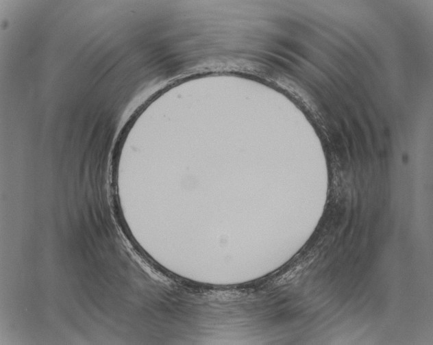 X0000062870894200602101649