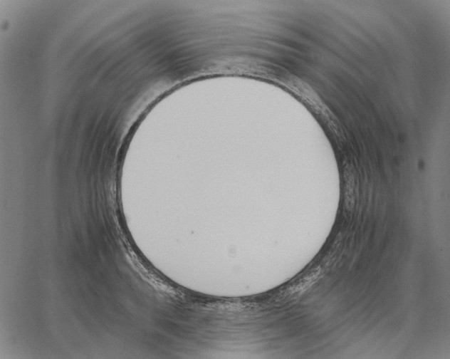 X0000062870896200602101648