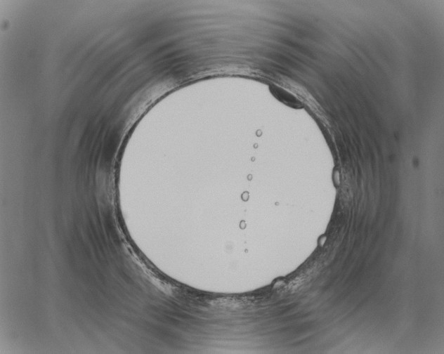 X0000062870898200602101648