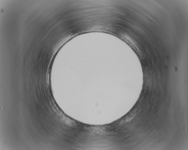 X0000062870900200602101648