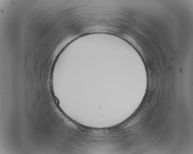 X0000062870901200602101648