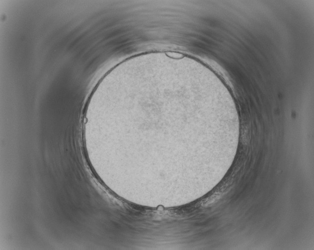 X0000062870903200602101648