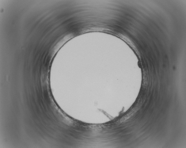 X0000062870906200602101648