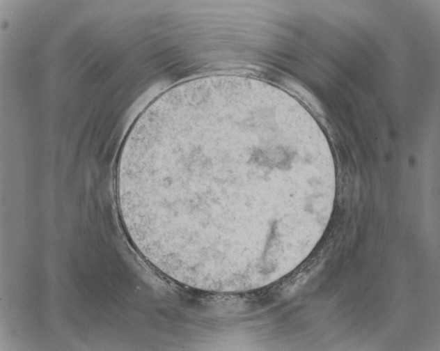 X0000062870907200602101648