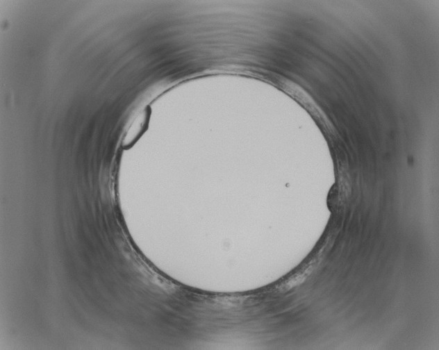 X0000062870908200602101648