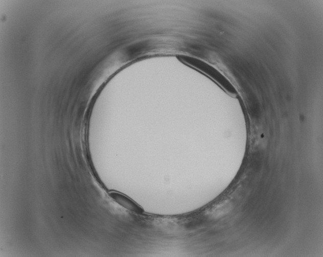 X0000062870909200602101648