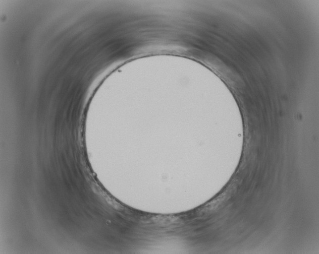 X0000062870912200602101648