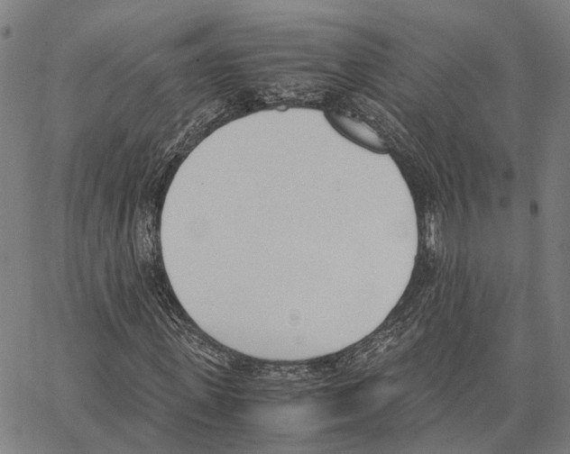 X0000062870915200602101647