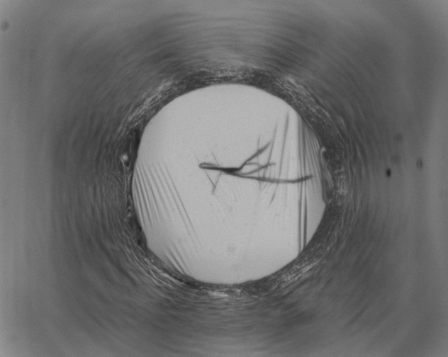 X0000062870916200602101647