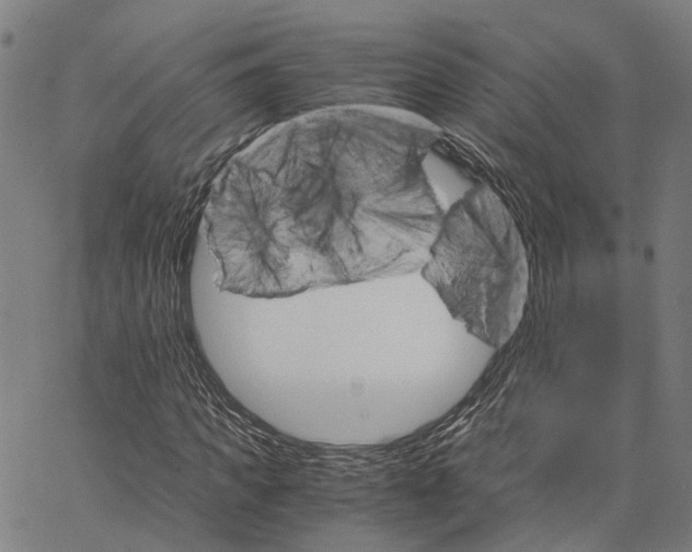 X0000062870917200602101648