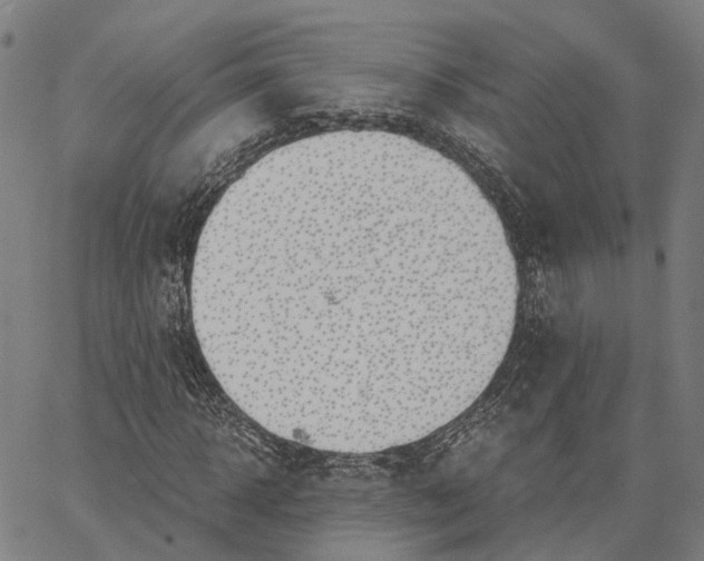 X0000062870918200602101648