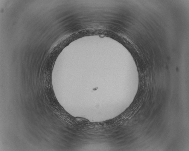 X0000062870919200602101648