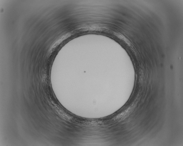 X0000062870922200602101648