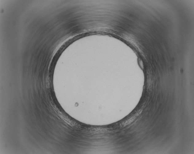 X0000062870924200602101648