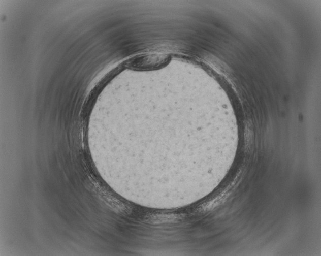 X0000062870925200602101648