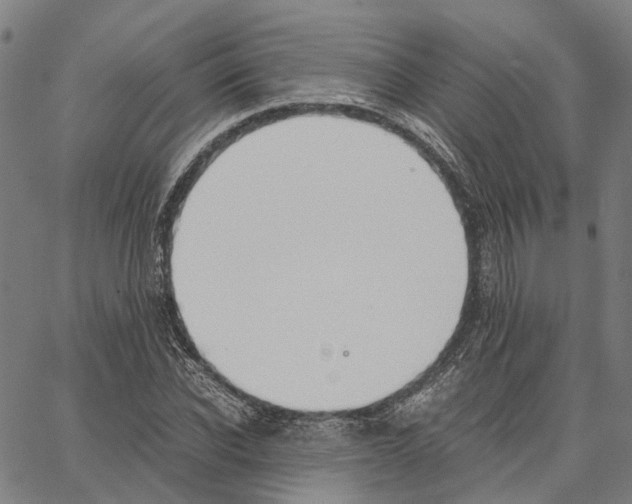 X0000062870926200602101648