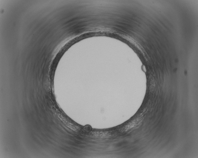 X0000062870927200602101648