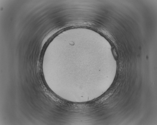 X0000062870928200602101648