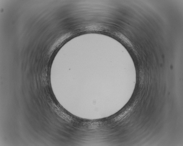 X0000062870930200602101648